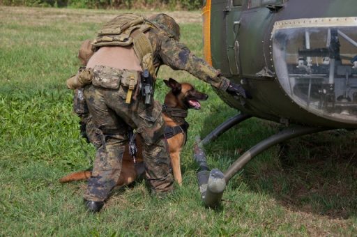 Durch seine sensible Nase ist der Hund in der Lage, Fährten nach Raum und Zeit zu erfassen und so einen genauen Fundort anzuzeigen. Das Setzen signalisiert einen Sprengstofffund. (Quelle: Luftwaffe/Johannes Heyn)