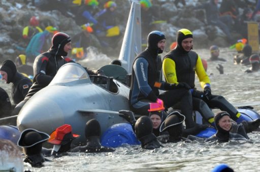 Mit 0,6 Grad war das Donauwasser eiskalt und deshalb eine kleine Pause auf dem Flieger erlaubt. (Quelle: Luftwaffe/Xaver Habermeier)