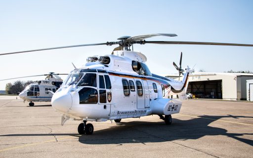 Cougar erstrahlt jetzt in Regierungsfarben