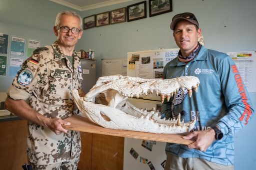 Beware of Crocodiles!